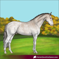 Horse Color:White Spotted Classic Champagne Dun 