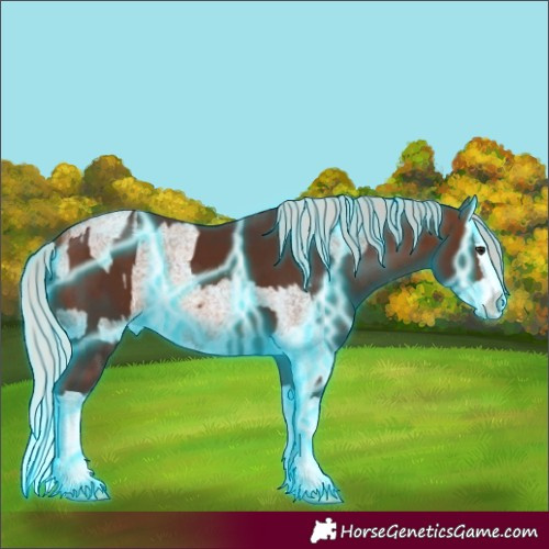 Horse Color:Thunderstruck Silver Brown Roan Splash  and Thunderstruck Silver Brown Splash 