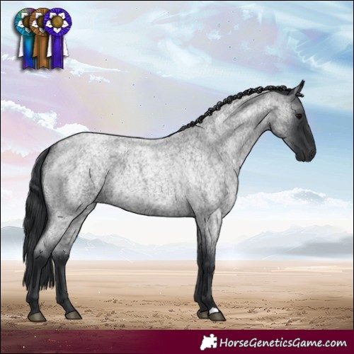 Horse Color:Blue Roan 