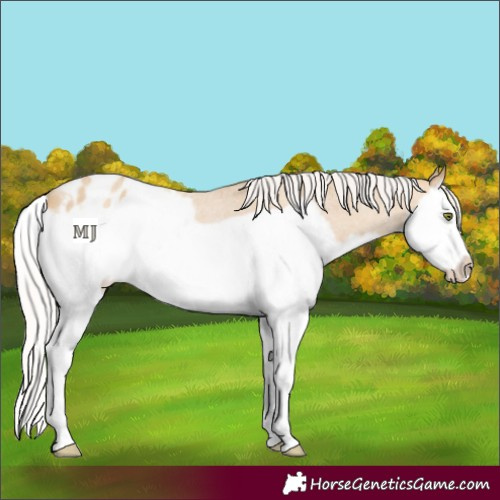 Horse Color:Silver Classic Cream Champagne Roan Splash Frame Blanket Rabicano 