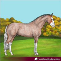 Horse Color:Silver Brown Roan Splash 