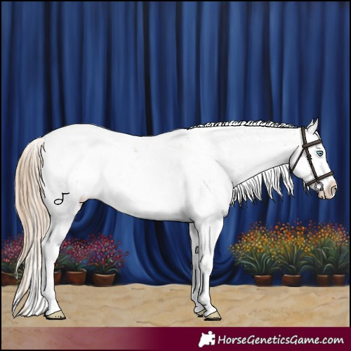 Horse Color:Smoky Creme Sabino 