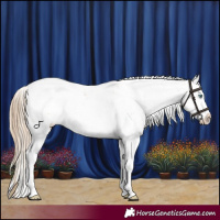 Horse Color:Smoky Creme Sabino 