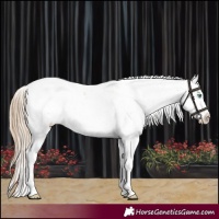 Horse Color:Smoky Creme Sabino