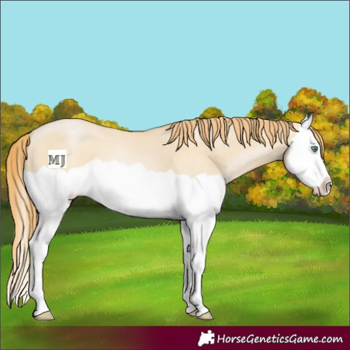 Horse Color:Smoky Grullo Pearl Splash