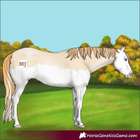 Horse Color:Smoky Grullo Pearl Splash 
