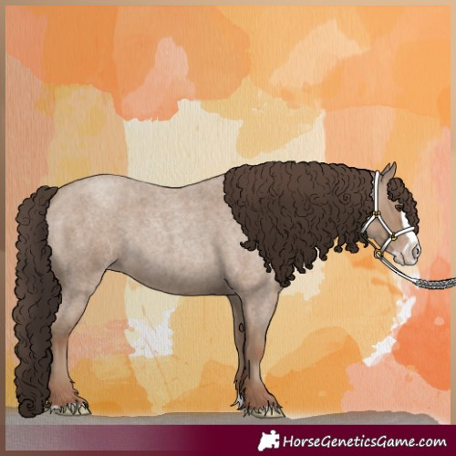Horse Color:Classic Champagne Roan Splash