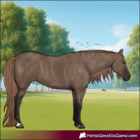 Horse Color:Liver Red Dun Rabicano 