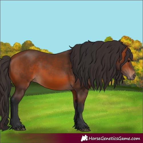 Horse Color:Unknown 