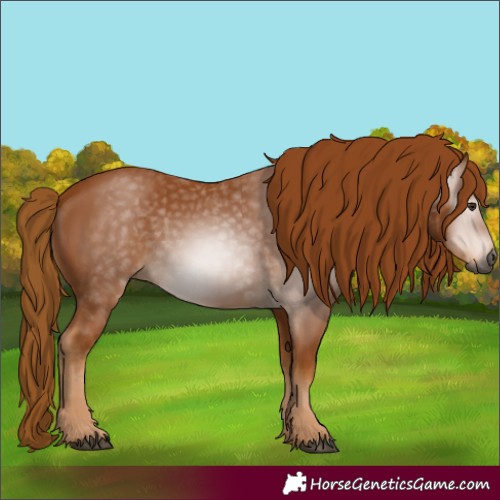 Horse Color:Unknown 