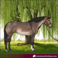 Horse Color:Brown Dun Tobiano Rabicano 