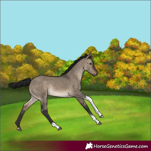 Horse Color:Brown Dun Tobiano Rabicano 