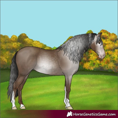Horse Color:Gray Classic Champagne Tobiano 