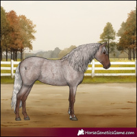 Horse Color:Silver Blue Roan 
