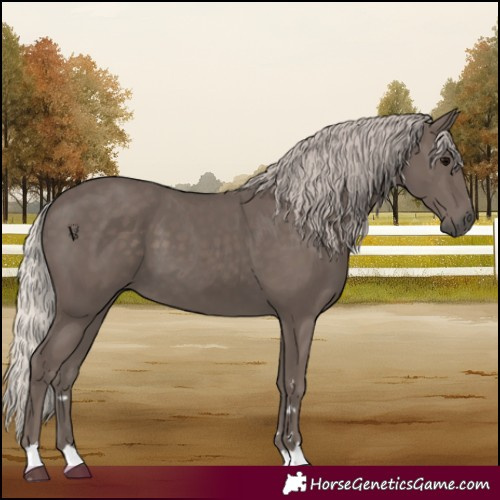 Horse Color:Silver Black 
