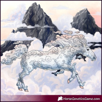 Horse Color:Gray Silver Blue Roan Frame 
