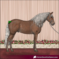 Horse Color:Silver Black 
