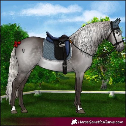 Horse Color:Gray Silver Black 