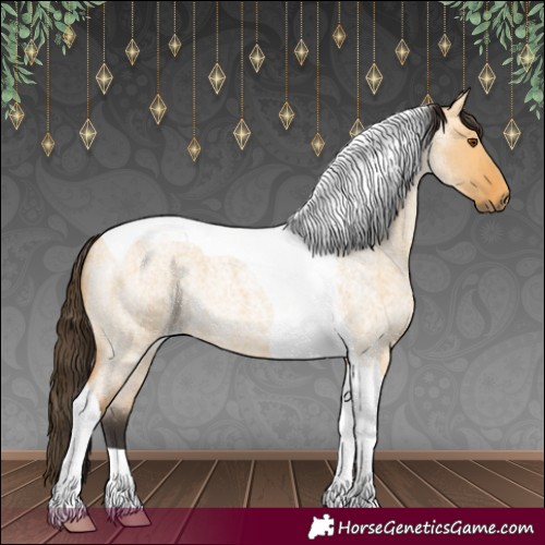 Horse Color:Buckskin Roan Dun Tobiano 