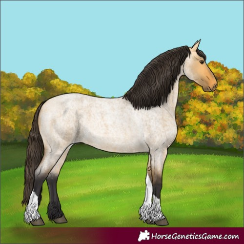 Horse Color:Buckskin Roan Dun Tobiano 