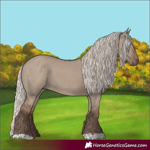 Horse Color:Silver Grullo 