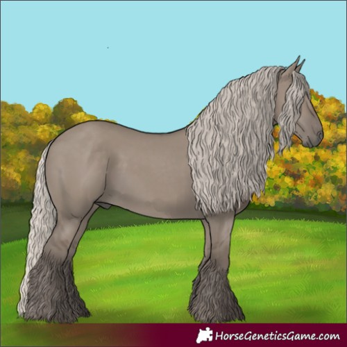 Horse Color:Silver Grullo 
