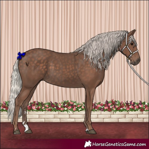 Horse Color:Silver Black 