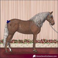 Horse Color:Silver Black