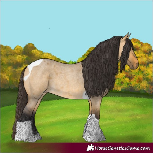 Horse Color:Buckskin Roan Dun Tobiano 
