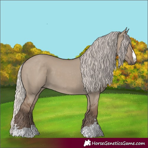 Horse Color:Silver Grullo 