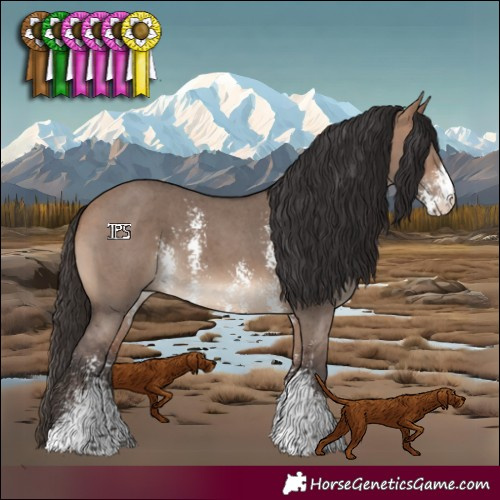 Horse Color:Bay Dun Sabino 