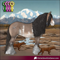 Horse Color:Bay Dun Sabino
