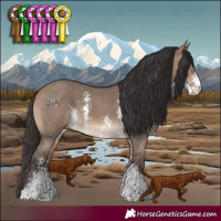 Horse Color:Bay Dun Sabino 