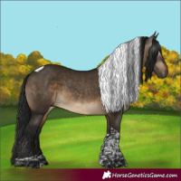 Horse Color:Gray Brown Dun Tobiano 