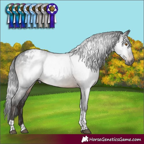 Horse Color:Gray Brown Mushroom Tobiano Varnish 