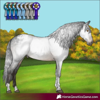 Horse Color:Gray Brown Mushroom Tobiano Varnish 