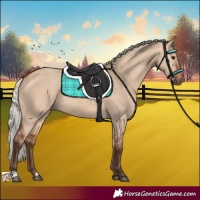 Horse Color:Silver Bay Dun 