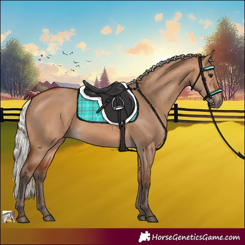 Horse Color:Silver Bay Dun 