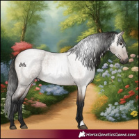 Horse Color:Gray Bay Roan Dun Rabicano