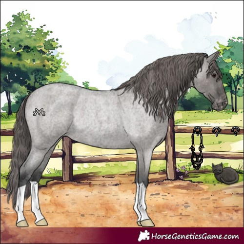 Horse Color:Grullo Roan Varnish Rabicano 