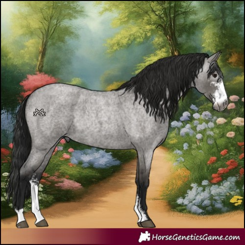 Horse Color:Gray Grullo Roan Sabino Rabicano 
