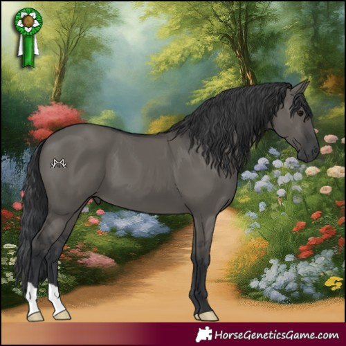 Horse Color:Grullo 