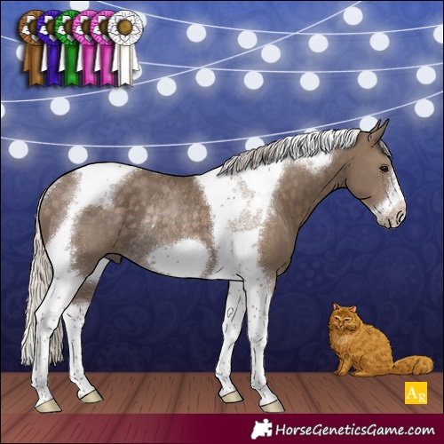 Horse Color:Silver Smoky Black Tobiano Frame Rabicano 