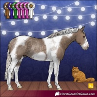 Horse Color:Silver Smoky Black Tobiano Frame Rabicano
