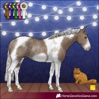 Horse Color:Silver Smoky Black Tobiano Frame Rabicano 