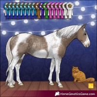 Horse Color:Silver Smoky Black Tobiano Frame Rabicano 