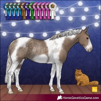 Horse Color:Silver Smoky Black Tobiano Frame Rabicano 