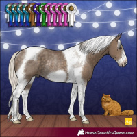 Horse Color:Silver Smoky Black Tobiano Frame Rabicano