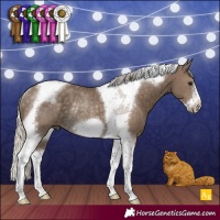 Horse Color:Silver Smoky Black Tobiano Frame Rabicano 