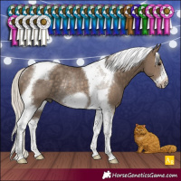Horse Color:Silver Smoky Black Tobiano Frame Rabicano 